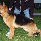 Seltik00139.jpg