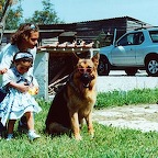 Seltik-9.jpg