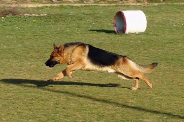 Loading Image