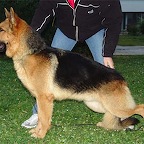 Seltik-.jpg